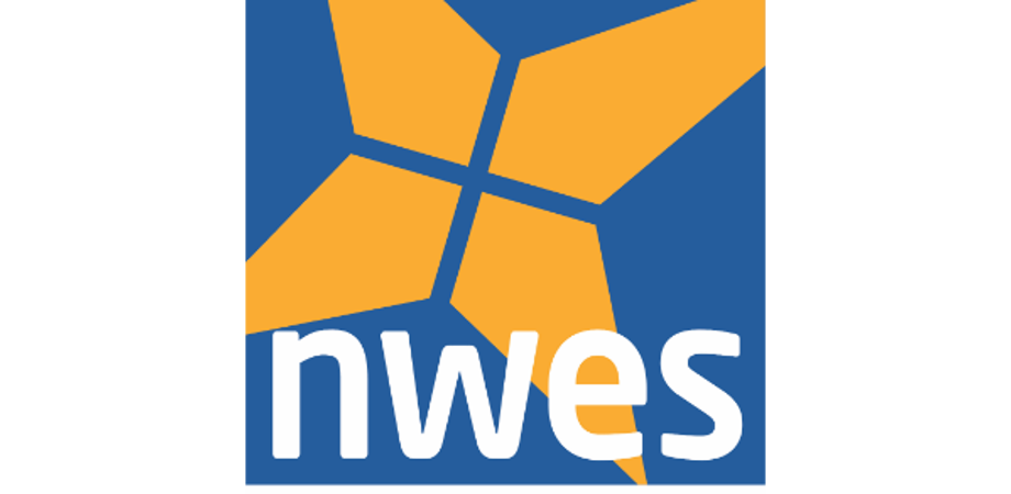 Nwes logo